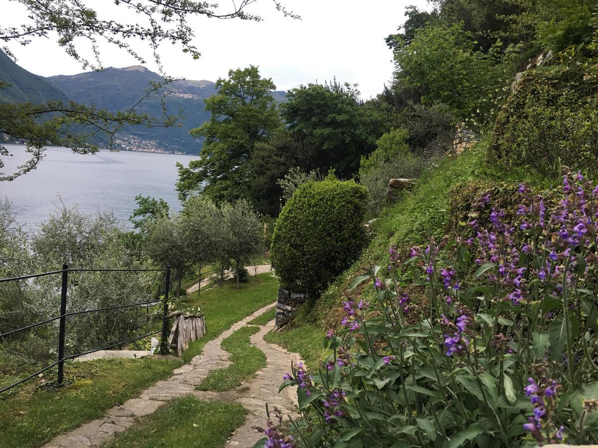 Casa Vacanza Castagna 네소 외부 사진
